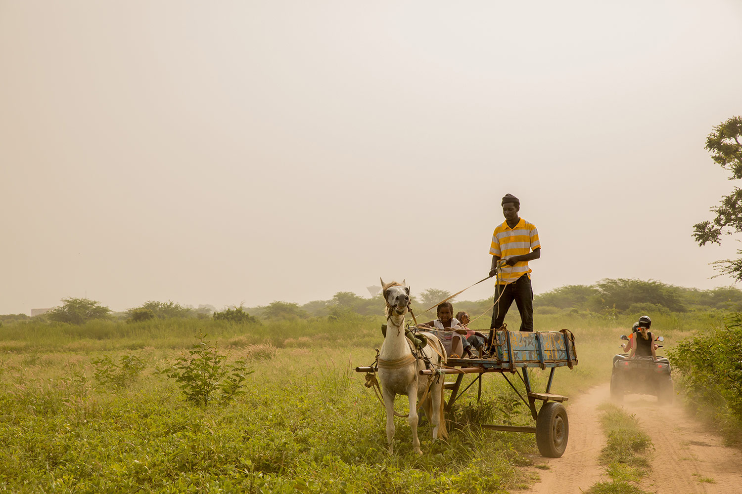 Reisfotografie Senegal
